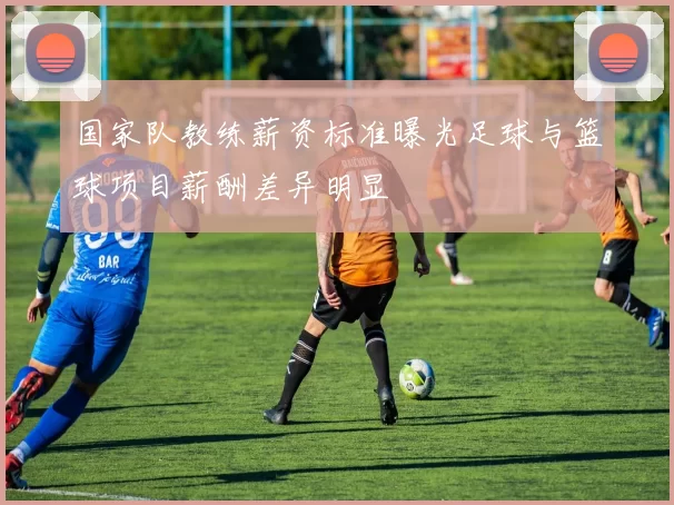 国家队教练薪资标准曝光足球与篮球项目薪酬差异明显