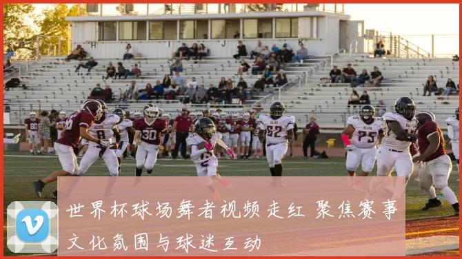 世界杯球场舞者视频走红 聚焦赛事文化氛围与球迷互动