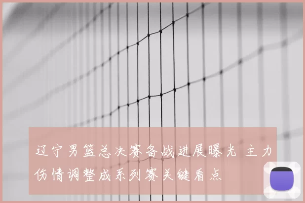 辽宁男篮总决赛备战进展曝光 主力伤情调整成系列赛关键看点