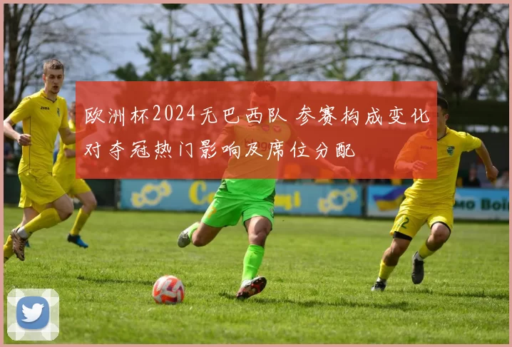 欧洲杯2024无巴西队 参赛构成变化对夺冠热门影响及席位分配