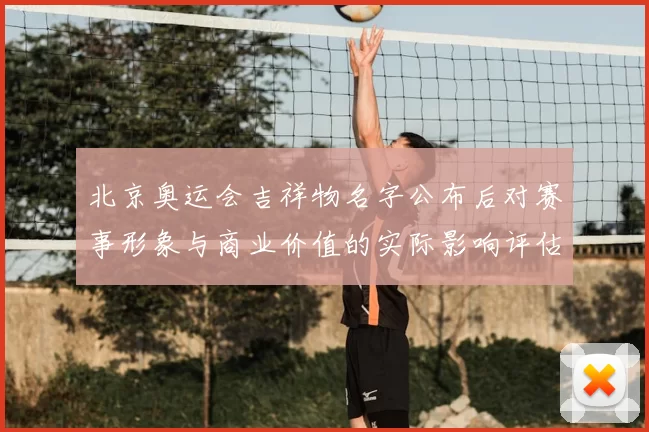 北京奥运会吉祥物名字公布后对赛事形象与商业价值的实际影响评估