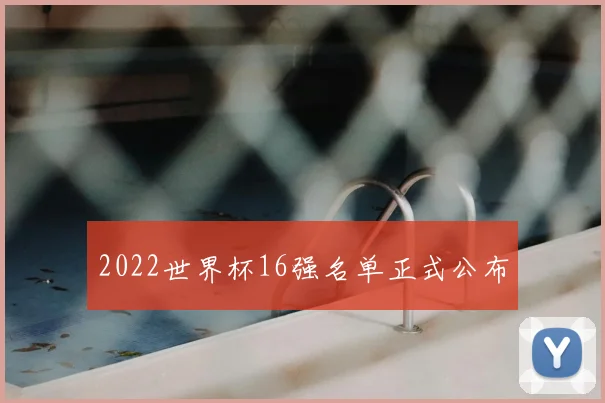 2022世界杯16强名单正式公布