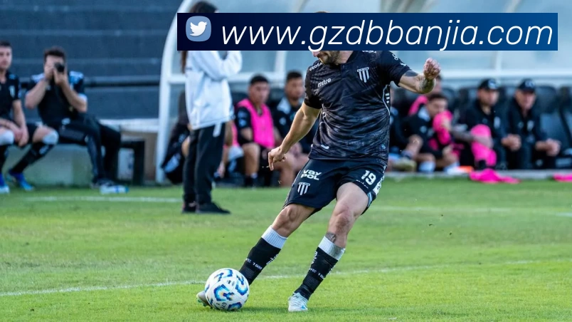 星空网网页版入口平台生态图